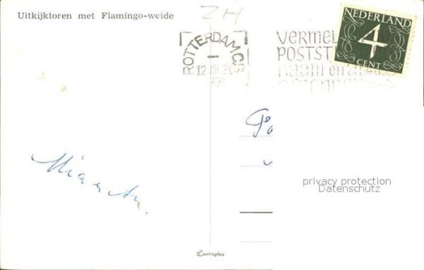 Rotterdam Uitkijktoren Flamingo Weide – Bild 2