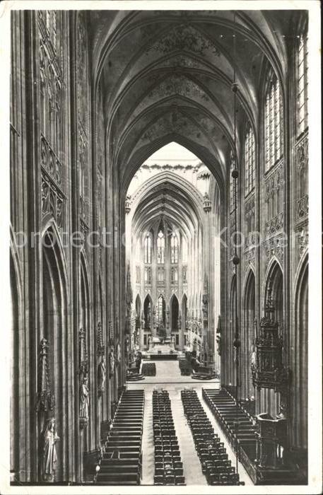 S-Hertogenbosch Basiliek St. Jan
