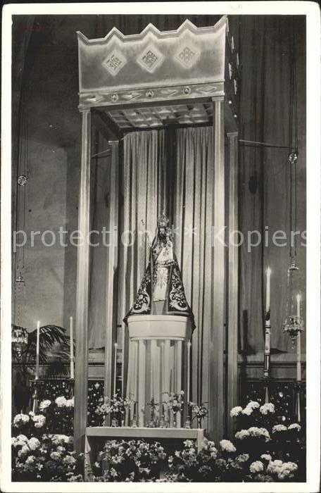 S-Hertogenbosch Wonderbeeld Bosch Kathedrale Basiliek S