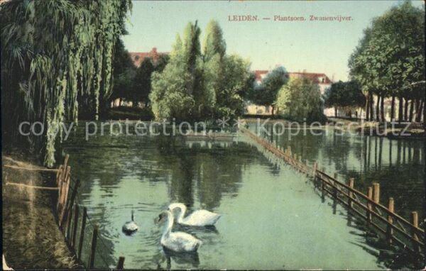 Leiden Plantsoen Zwanenvijver