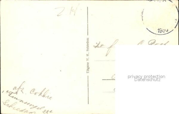 Schiedam Sterrebosch – Bild 2