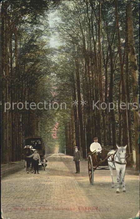 Arnhem Allee Pferdekutsche