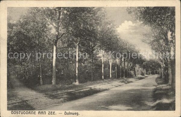 Oostvoorne aan Zee Duinweg