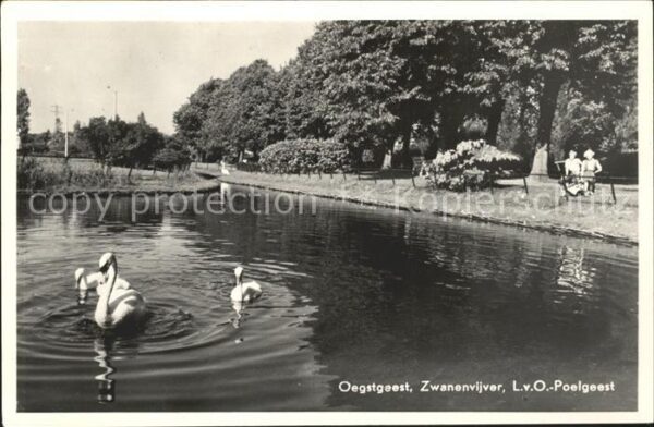 Oegstgeest Zwanenvijver Poelgeest
