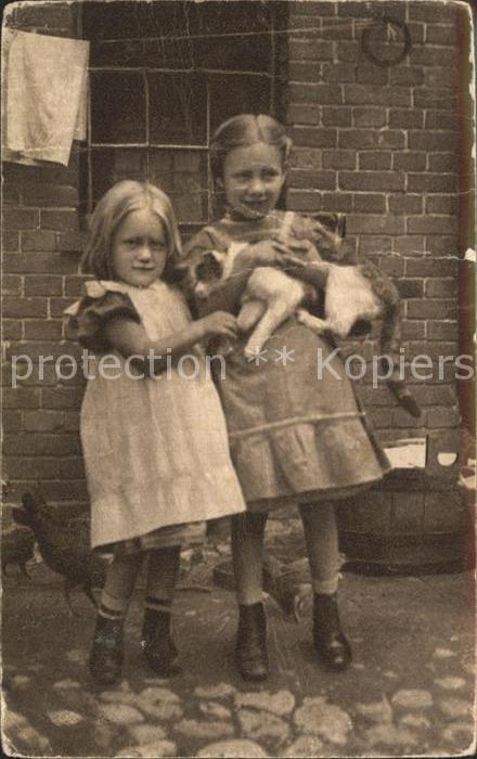 Arnhem Kinder Katze