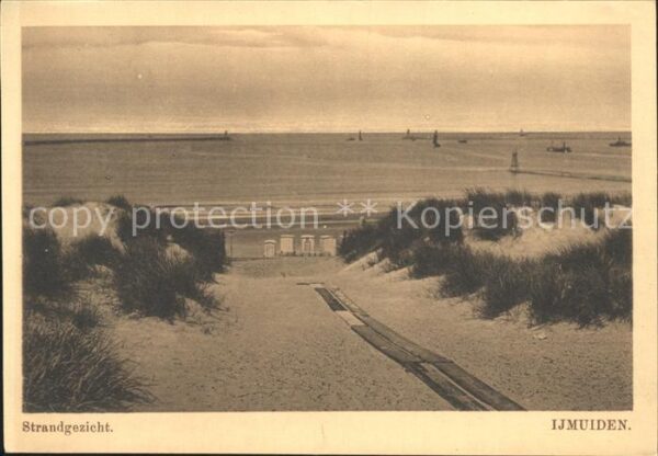 Ijmuiden Strandgezicht Dünen