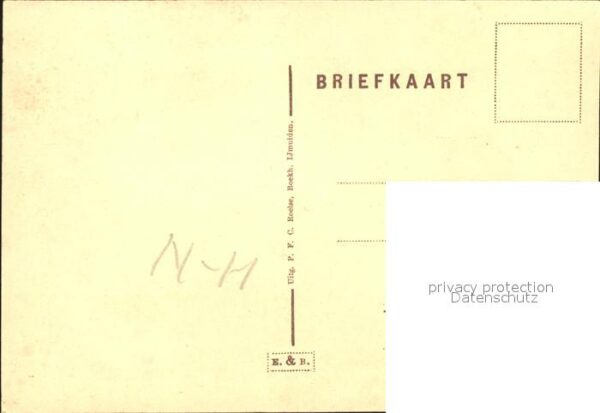 Ijmuiden Strandgezicht Dünen – Bild 2