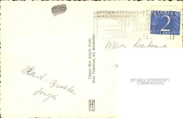 Arnhem Sonsbeekweg Weide Kühe – Bild 2