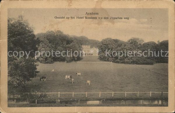 Arnhem Hotel Sonsbeek Zijpsche weg Weide Kühe