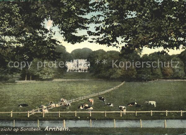 Arnhem Gezicht op Kasteel Sonsbeek Weide Kühe