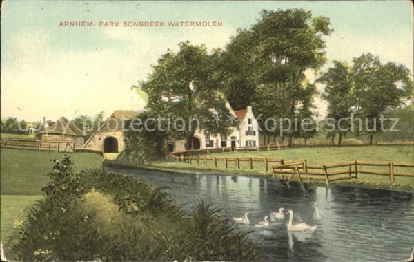 Arnhem Park Sonsbeek Watermolen Schwan