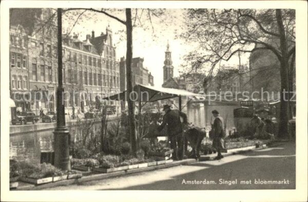 Amsterdam Niederlande Singel bloemmarkt