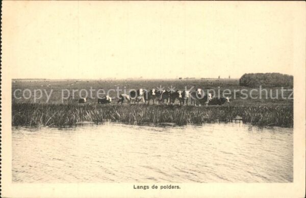 Niederlande Langs de Polders