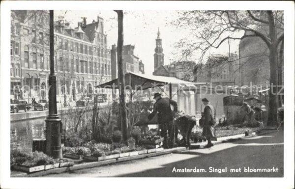 Amsterdam Niederlande Singel bloemmarkt