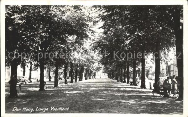 Den Haag Lange Voorhout Baumallee