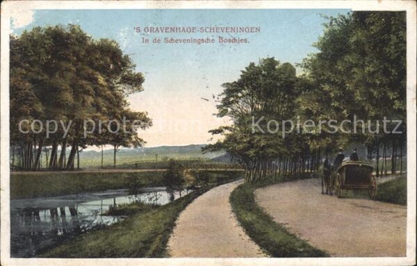 Scheveningen Scheveningsche Boschjes Pferdekutsche