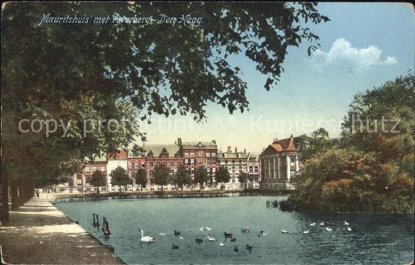 Den Haag Mauritshuis Vijverberg Schwan Enten