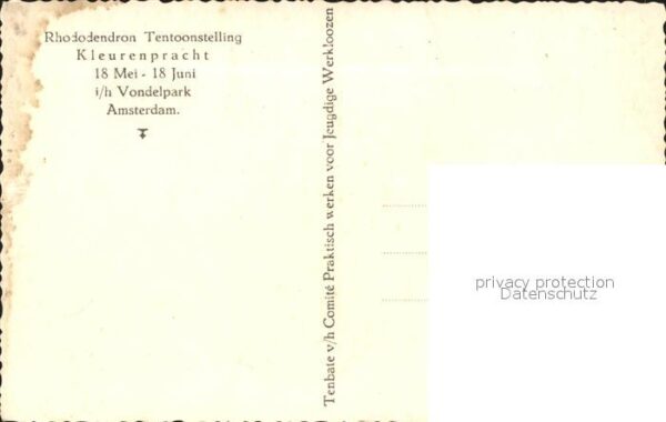Amsterdam Niederlande Rhododendron Tentoonstelling Kleurenpra – Bild 2