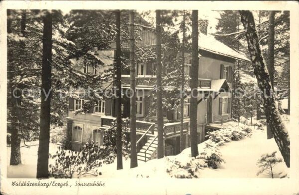 Waldbaerenburg Sonnenhöhe