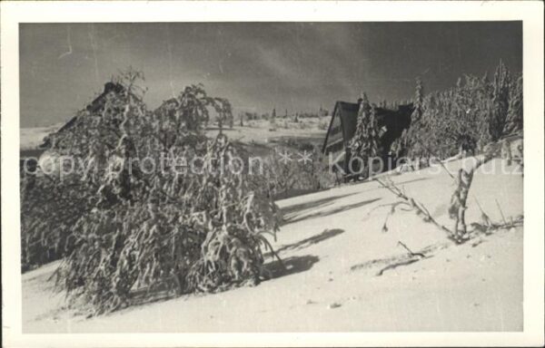 Oberwiesenthal Erzgebirge Haus im Wald