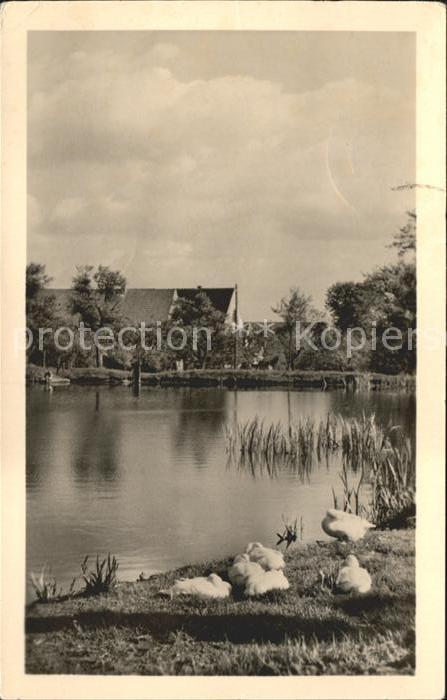 Querfurt Dorfpartie am Teich