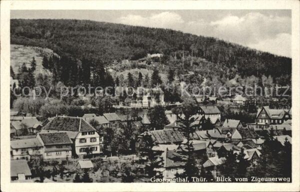 Georgenthal Blick vom Zigeunerweg