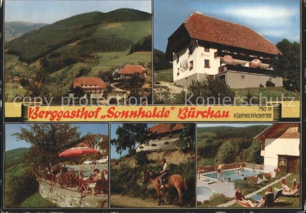 Buerchau Berggasthof Sonnhalde Pferd Schwimmbad