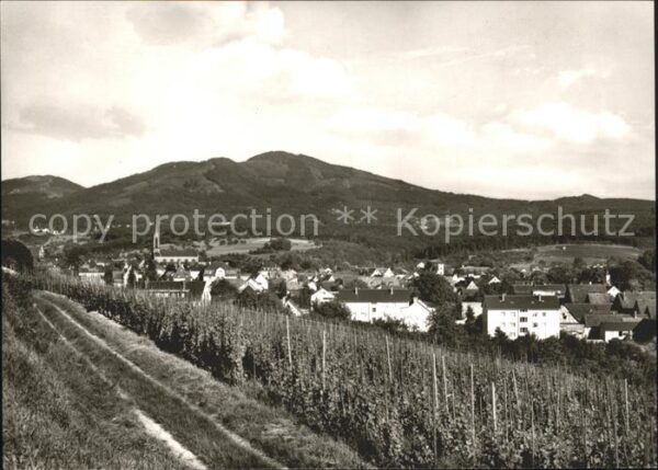 Muellheim Baden Blick von den Reben