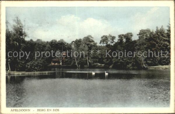 Apeldoorn Berg en Bos