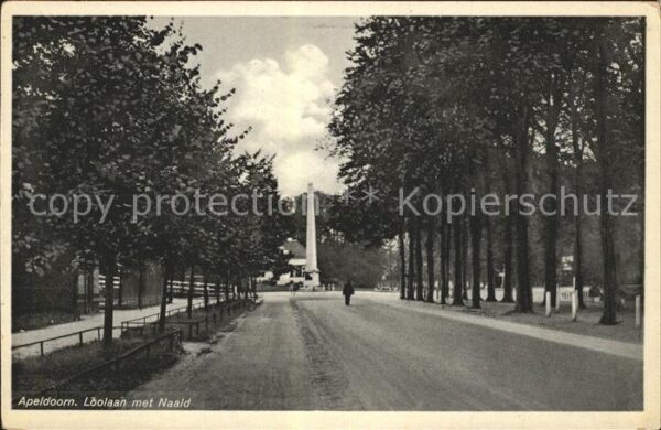 Apeldoorn Loolaan met Naald