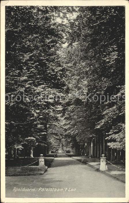 Apeldoorn Paleislaan t Loo