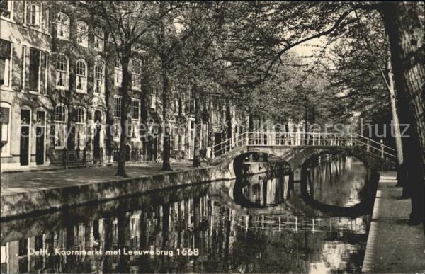 Delft Koornmarkt met Leeuwenbrug