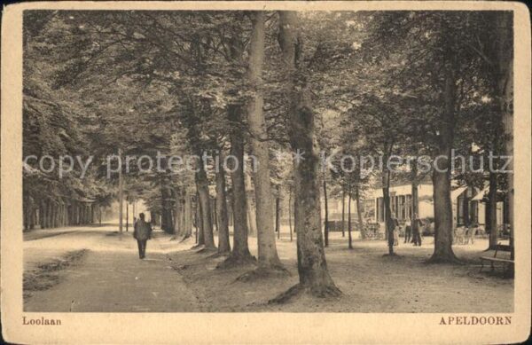 Apeldoorn Loolaan