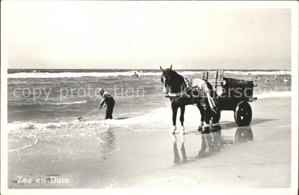 Katwijk Pferdewagen am Strand