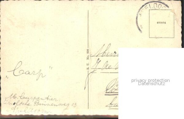 Apeldoorn Loolaan – Bild 2