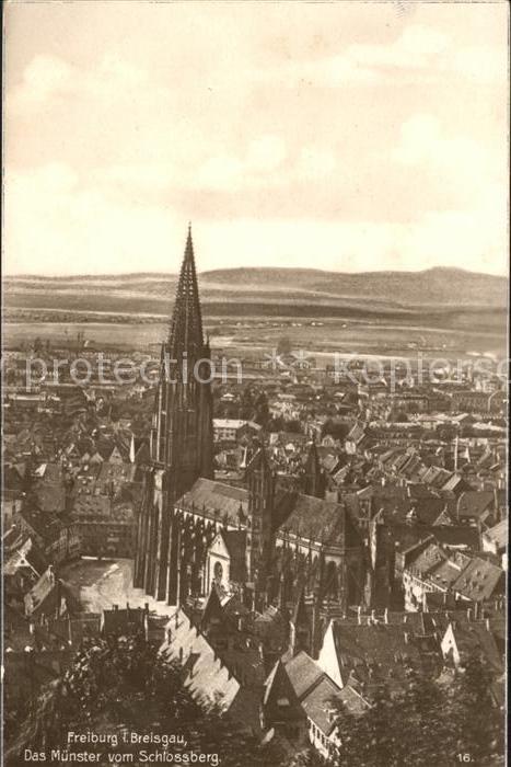 Freiburg Breisgau Münster vom Schlossberg