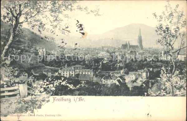 Freiburg Breisgau Teilansicht mit Münster