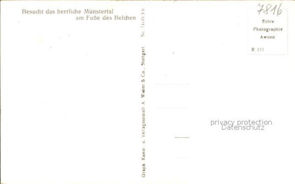 Obermuenstertal mit Belchenblick – Bild 2