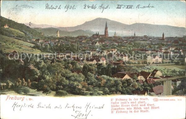 Freiburg Breisgau Totalansicht mit Münster