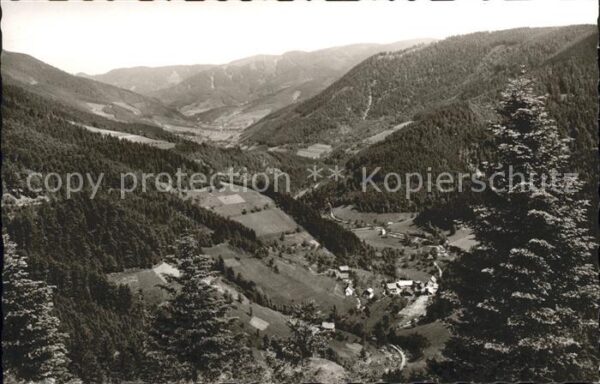 St Maergen Blick ins Wildgutach und Simonswälder T