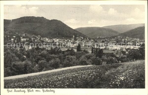 Bad Harzburg Panorama