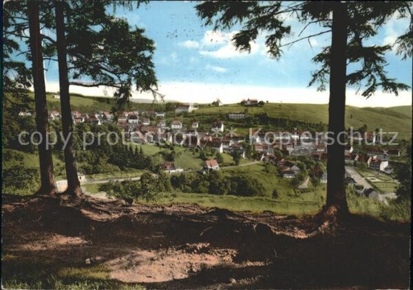 St Andreasberg Harz Blick vom Neufang