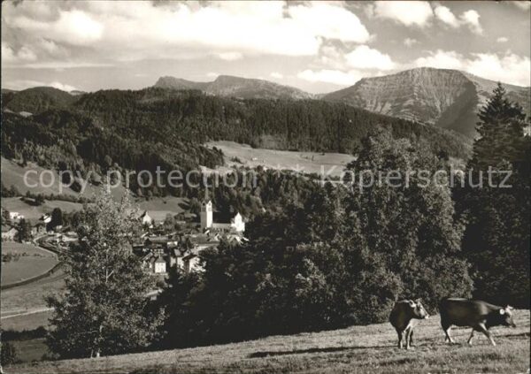 Oberstaufen Panorama