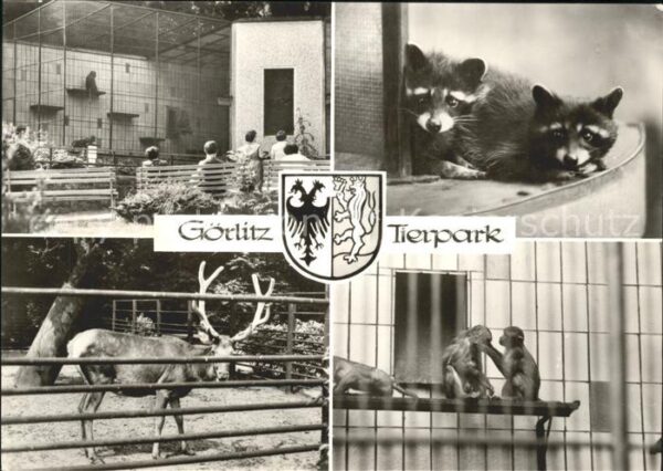 Goerlitz Sachsen Tierpark Hirsch Füchse Affenhaus