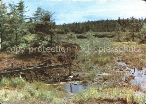 Georgenfeld Georgenfelder Hochmoor Ostergebirge