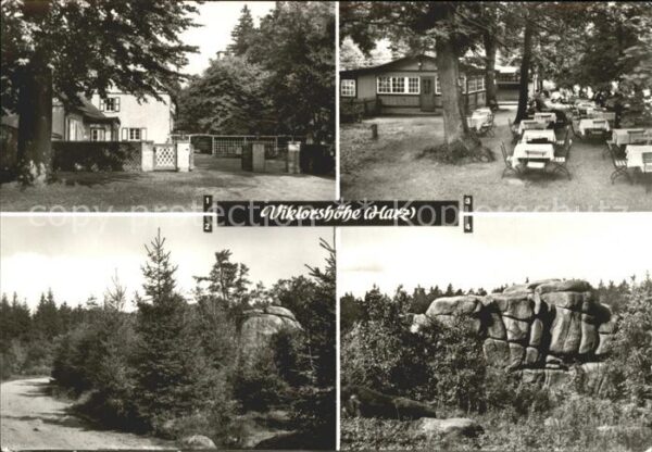 Thale Harz Viktorshöhe im Harz Teilansichten