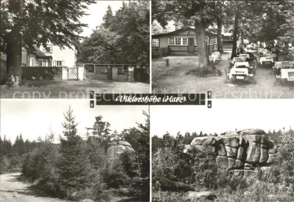 Thale Harz Viktorshöhe Teilansichten