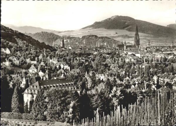 Freiburg Breisgau Panorama mit Münster