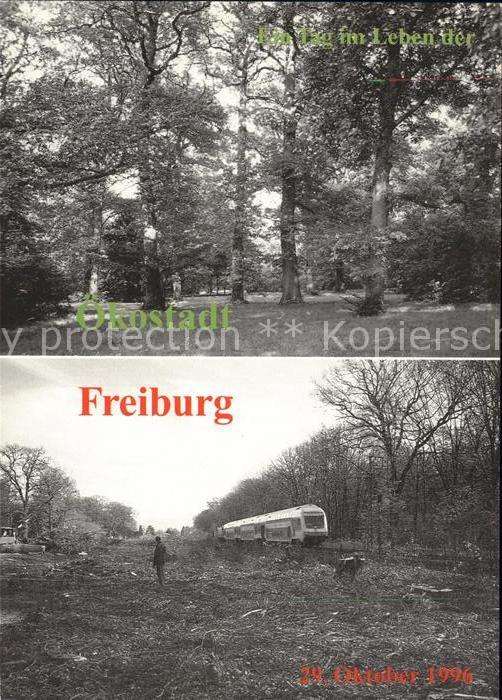Freiburg Breisgau 1966 Naturdenkmal Konrad Guenther Park