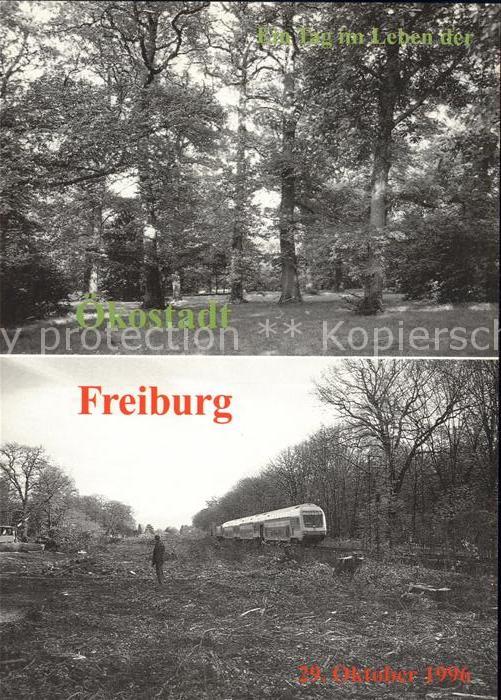 Freiburg Breisgau 1966 Naturdenkmal Konrad Guenther Park